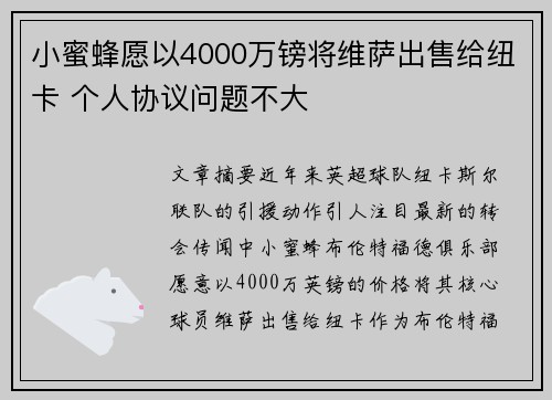 小蜜蜂愿以4000万镑将维萨出售给纽卡 个人协议问题不大